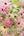 【期間限定】4月をお届け！新しいスタートを彩るガーベラの花束「gerbera sorbet」 - &YOUKAEN (アンドユーカエン)