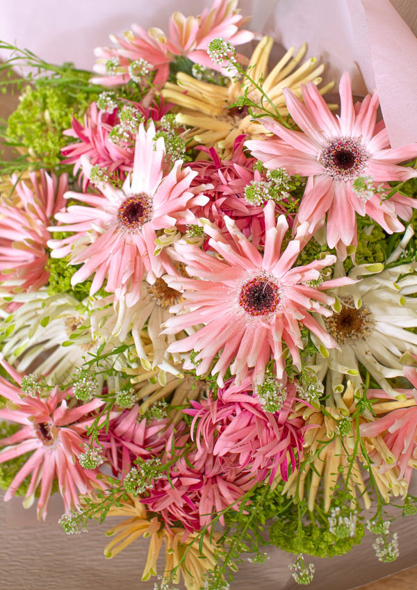 【期間限定】4月をお届け！新しいスタートを彩るガーベラの花束「gerbera sorbet」 - &YOUKAEN (アンドユーカエン)