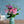 母の日ブーケ 花瓶セット 「シャビーベリー」【2024年母の日限定 おしゃれな花束ギフト】