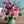 母の日ブーケ 花瓶セット 「シャビーベリー」【2024年母の日限定 おしゃれな花束ギフト】
