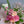 母の日ブーケ その場で飾れる！カーネーションの花束「ピンク」【2024年母の日限定 おしゃれな花束ギフト】