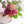母の日ブーケ その場で飾れる！カーネーションの花束「ピンク」【2024年母の日限定 おしゃれな花束ギフト】