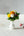 【お正月アレンジメント】瑞々しい新年を迎える花束 「HANAてまり」【正月のおしゃれなお花】