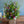 【春のアレンジメント】フラワーギフトにぴったり！ 春のお花を集めたフラワーアレンジメント Lサイズ パープル・グリーン 【2024年スプリングギフト】