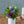 【春のアレンジメント】フラワーギフトにぴったり！ 春のお花を集めたフラワーアレンジメント Sサイズ　パープル・グリーン【2024年スプリングギフト】