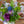 【春のアレンジメント】フラワーギフトにぴったり！ 春のお花を集めたフラワーアレンジメント Sサイズ　パープル・グリーン【2024年スプリングギフト】