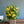 【春のアレンジメント】フラワーギフトにぴったり！ 春のお花を集めたフラワーアレンジメント Lサイズ イエロー・グリーン【2024年スプリングギフト】