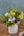 [Spring Arrangement] Perfect for a flower gift! Spring flower arrangement (Size S) in yellow and purple [Spring Gift 2026]