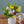 【春のアレンジメント】フラワーギフトにぴったり！ 春のお花を集めたフラワーアレンジメント Sサイズ　イエロー・パープル【2024年スプリングギフト】