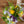 【春のアレンジメント】フラワーギフトにぴったり！ 春のお花を集めたフラワーアレンジメント Sサイズ　イエロー・パープル【2024年スプリングギフト】