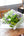 誕生日や結婚記念日に 期間限定 ラベンダー色の季節の花束 「vert Lavande」