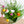 【春の花束】チューリップと季節のグリーンのブーケ「coloré」【2024年スプリングギフト】