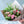 【春の花束】春の花で作るおしゃれなブーケ「ピンク・グリーン」 Lサイズ【2024年スプリングギフト】