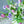 【春の花束】スイートピーとチューリップを使った季節の花束 「pail lilac」【期間限定！ スプリングギフト】