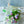 【春の花束】スイートピーとチューリップを使った季節の花束 「pail lilac」【期間限定！ スプリングギフト】