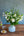 【期間限定】チューリップを使った季節の花束 ホワイトグリーン 高さ55cm「spring blanc」 - &YOUKAEN (アンドユーカエン)