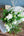 【期間限定】チューリップを使った季節の花束 ホワイトグリーン 高さ55cm「spring blanc」 - &YOUKAEN (アンドユーカエン)