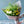 【春の花束】春の花で作るおしゃれなブーケ「イエロー・グリーン」 Lサイズ【2024年スプリングギフト】
