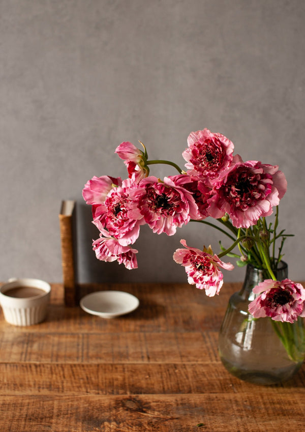 季節の花「ラナンキュラス　シャルロット」