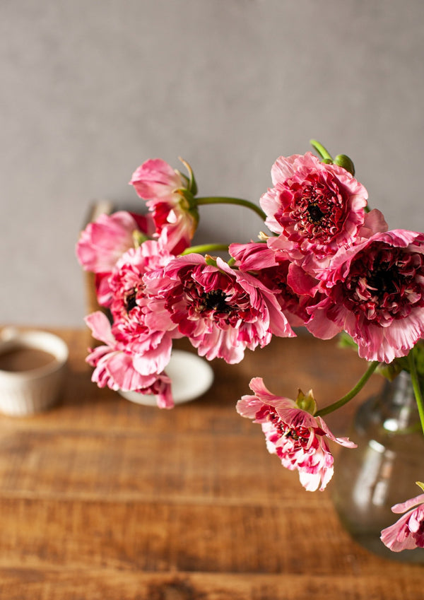 季節の花「ラナンキュラス　シャルロット」