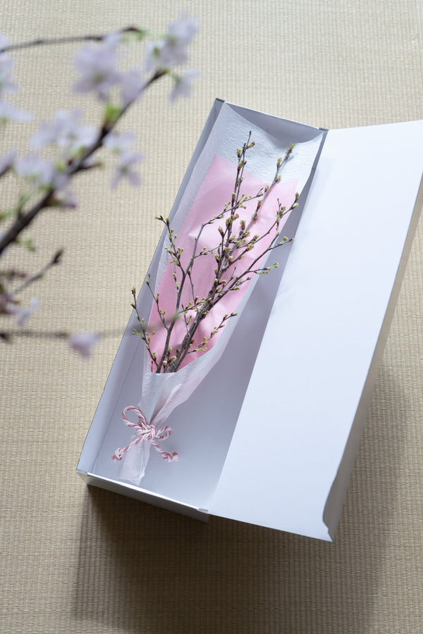 【おうちでお花見】ラッピング付き 桜の枝約60cm × 4本【シェアお花見】