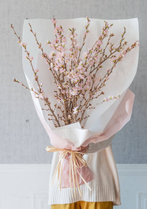 【おうちでお花見】啓翁桜の枝約80cm × 10本【シェアお花見】