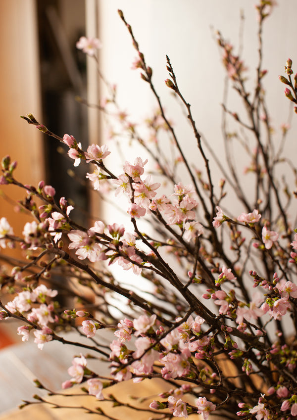 季節の枝もの 70cm「桜10本」