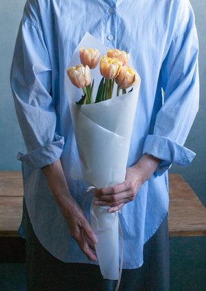 Re:think tulip セピア染めチューリップ 5本 - &YOUKAEN (アンドユーカエン)