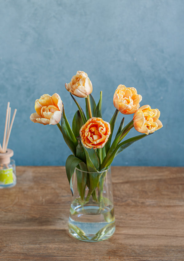 Re:think tulip セピア染めチューリップ 5本 - &YOUKAEN (アンドユーカエン)