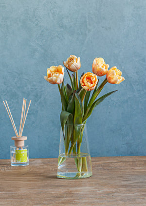 Re:think tulip セピア染めチューリップ 5本 - &YOUKAEN (アンドユーカエン)