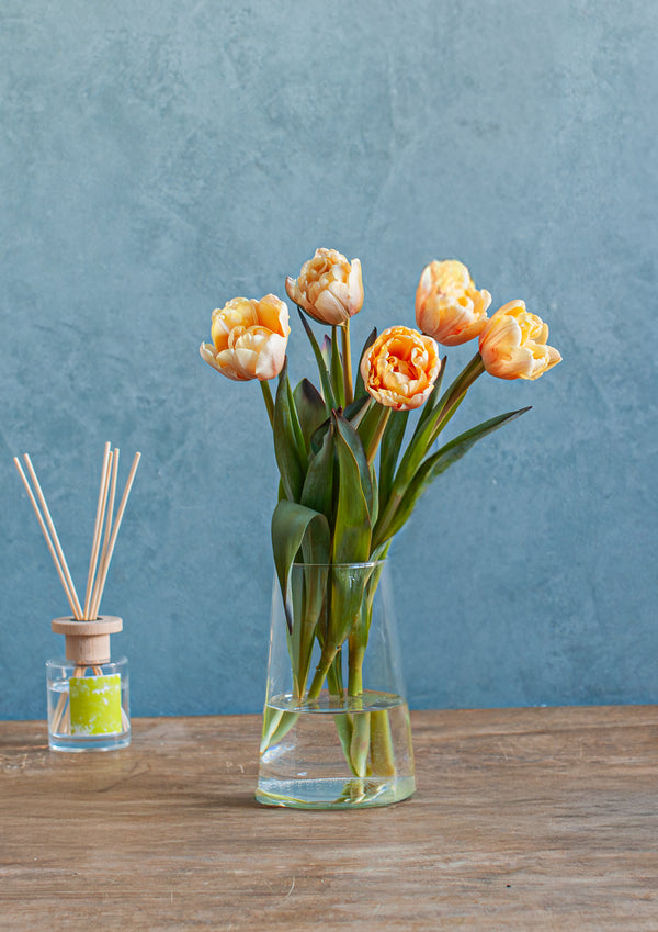 Re:think tulip セピア染めチューリップ 5本 - &YOUKAEN (アンドユーカエン)