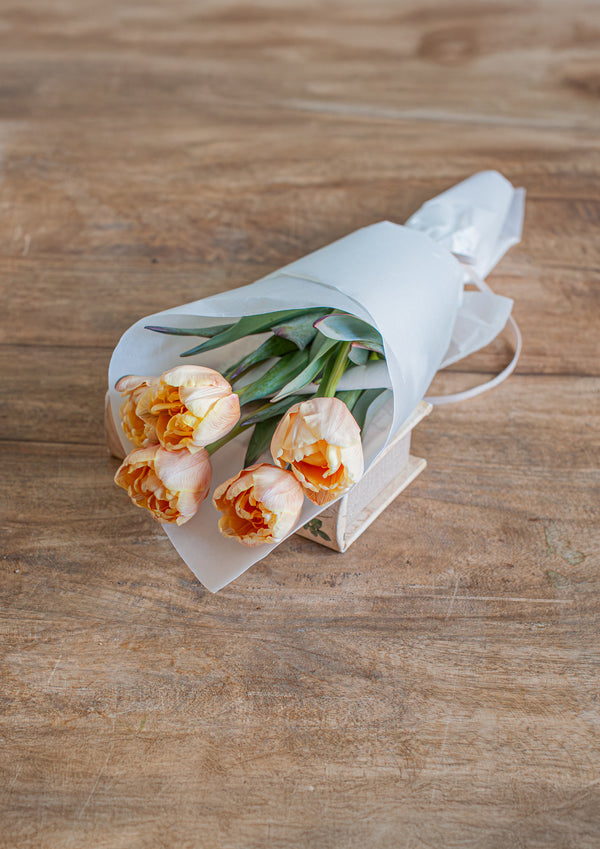 Re:think tulip セピア染めチューリップ 5本 - &YOUKAEN (アンドユーカエン)