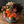 【アレンジメント】お祝いにおすすめのアレンジメント GRサイズ オレンジ系「luxe orange」