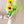 【メッシュバックと花束】 