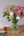 ピンクのバラと季節のグリーンの花束 Lサイズ｜女性への誕生日・結婚記念日に - &YOUKAEN (アンドユーカエン)