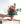 季節を愉しむローズブーケ 「roses roses」 幅20cm × 高さ30cmラッピングイメージ