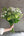 ホワイトのバラと季節のグリーンの花束Lサイズ｜洗練されたおしゃれなブーケ