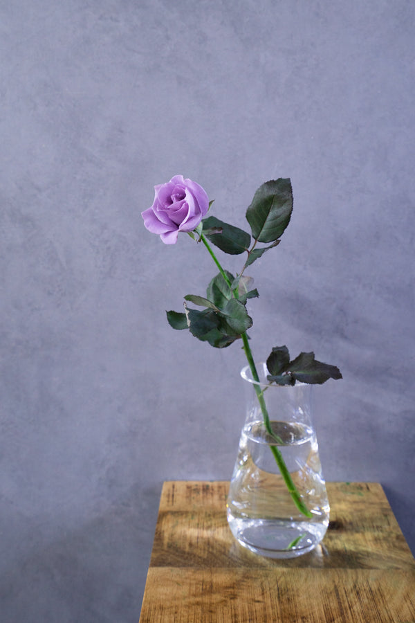 【店舗受け取り専用】夜明けのほのかな青色のバラ 1輪「Applause」 - &YOUKAEN (アンドユーカエン)