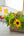 【2026年父の日の花】父の日 フラワーアレンジメント LLサイズ 「Helianthus chic」