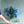 誕生日や結婚記念日に 期間限定 季節の花束「Lapis Blue」＜ブルー＆パープル＞
