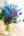 誕生日や結婚記念日に 期間限定 季節の花束「Lapis Blue」Mサイズ - &YOUKAEN (アンドユーカエン)