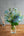 誕生日や結婚記念日に 期間限定 季節の花束「Light Blue」Mサイズ - &YOUKAEN (アンドユーカエン)