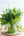 【お中元】季節の花束「ヴェールグリーン」 ＜グリーン＆ブルー ＞ サマーギフト2024 【おしゃれな夏の花束】