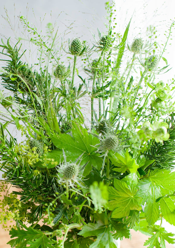 【2025年 サマーギフト】 季節の花束「ヴェールグリーン」 ＜ハーブ＆グリーン＞M サマーギフト2025 【おしゃれな夏の花束】【予約販売中 6月16日以降のお届け】 - &YOUKAEN (アンドユーカエン)
