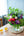 誕生日や結婚記念日に 期間限定 季節の花束「Tropical violet」 ＜パープル＆グリーン＞