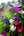 誕生日や結婚記念日に 期間限定 季節の花束「Tropical violet」 ＜パープル＆グリーン＞