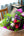 誕生日や結婚記念日に 期間限定 季節の花束「Tropical violet」 ＜パープル＆グリーン＞