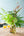 誕生日や結婚記念日に 期間限定 季節の花束「Tropical Green」M ＜グリーン＞ - &YOUKAEN (アンドユーカエン)