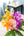 誕生日や結婚記念日に 期間限定 季節の花束「Tropical Fruits」 M＜オレンジ＆パープル＞ - &YOUKAEN (アンドユーカエン)