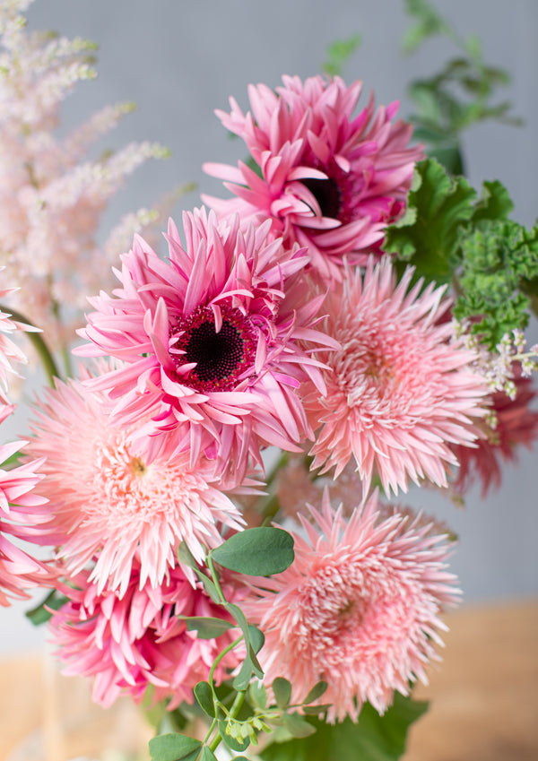 【期間限定】ガーベラのシックな花束「bloom」M - &YOUKAEN (アンドユーカエン)